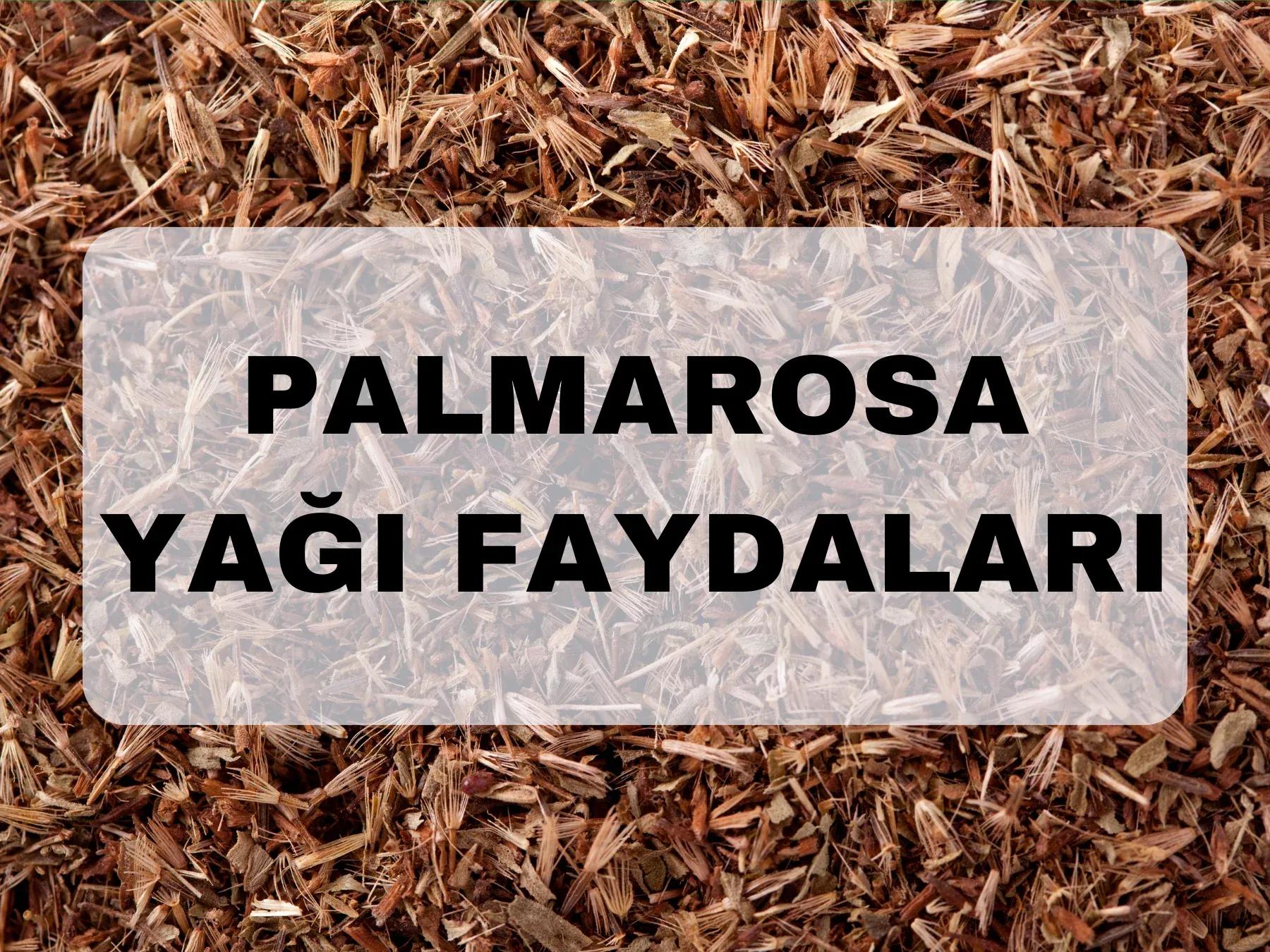 Palmarosa yağı nedir, ne işe yarar?