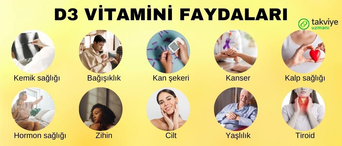 D3 vitamini faydaları